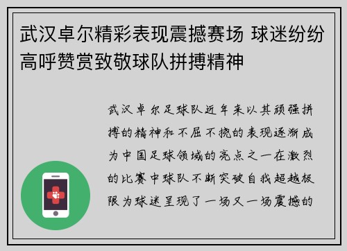 武汉卓尔精彩表现震撼赛场 球迷纷纷高呼赞赏致敬球队拼搏精神