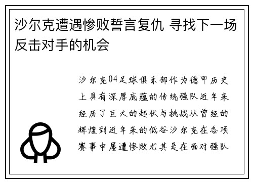 沙尔克遭遇惨败誓言复仇 寻找下一场反击对手的机会