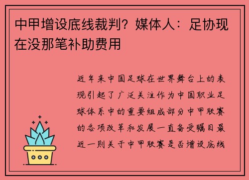 中甲增设底线裁判？媒体人：足协现在没那笔补助费用
