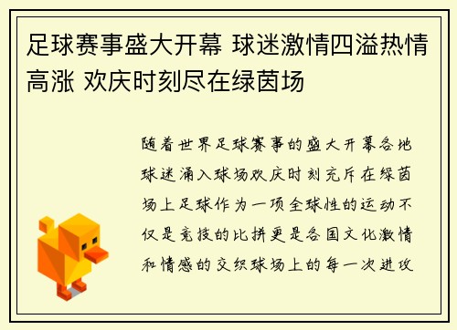 足球赛事盛大开幕 球迷激情四溢热情高涨 欢庆时刻尽在绿茵场