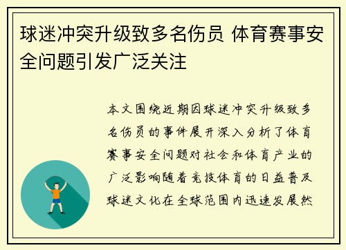 球迷冲突升级致多名伤员 体育赛事安全问题引发广泛关注