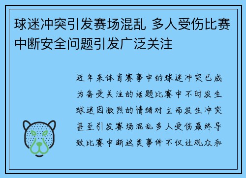球迷冲突引发赛场混乱 多人受伤比赛中断安全问题引发广泛关注